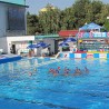 "Делфини" освојили Светски куп!