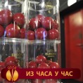 ЛЕ: Партизан са Тотенхемом, Бешикташом и Астерасом!