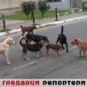 Гледаоци репортери (3. септембар 2014)