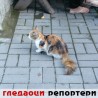 Гледаоци репортери (8. септембар 2014)