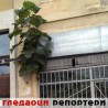 Гледаоци репортери (9. септембар 2014)