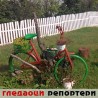 Гледаоци репортери (15. септембар 2014)