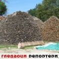 Гледаоци репортери (19. септембар 2014)