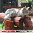 Гледаоци репортери (22. септембар 2014)