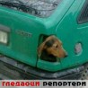Гледаоци репортери (26. септембар 2014)