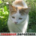 Гледаоци репортери (28. септембар 2014)