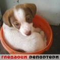 Гледаоци репортери (29. септембар 2014)