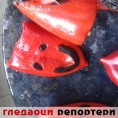 Гледаоци репортери (30. септембар 2014)