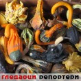 Гледаоци репортери (3. октобар 2014)