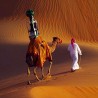 „Гугл“ лансирао "Camel View" у Емиратима
