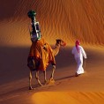 „Гугл“ лансирао "Camel View" у Емиратима