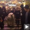 Кад бели медвед шета зебром у центру Токија