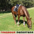 Гледаоци репортери (12. октобар 2014)
