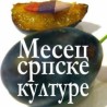 Затворен пети Месец српске културе у Мађарској