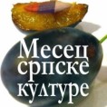 Затворен пети Месец српске културе у Мађарској