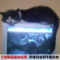 Гледаоци репортери (17. октобар 2014)