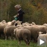 Пастирски посао за дужи живот
