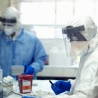 СЗО: Од еболе умрло више од 4.800 људи
