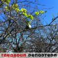 Гледаоци репортери (29. октобар 2014)