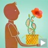 Шта нам пише у генима?