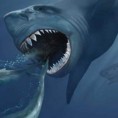 Китовима свануло кад се мегалодонима смркло