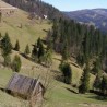 У средишту пажње