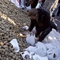 Париз, ратари делили кромпир и воће на улици