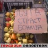 Гледаоци репортери (6. новембар 2014)
