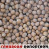 Гледаоци репортери (9. новембар 2014)