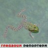 Гледаоци репортери (10. новембар 2014)