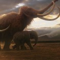 Повратак мамута?