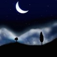 Ноћни програм - Неки то воле ноћу