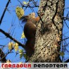 Гледаоци репортери (23. новембар 2014)