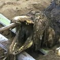 Руски специјалци нашли чудовиште?