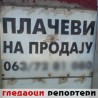 Гледаоци репортери (10. децембар 2014)