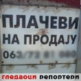 Гледаоци репортери (10. децембар 2014)