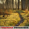 Гледаоци репортери (13. децембар 2014)