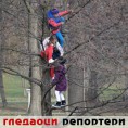 Гледаоци репортери (14. децембар 2014)