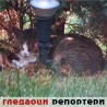 Гледаоци репортери (15. децембар 2014)