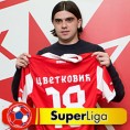 Цветковић прво појачање Звезде