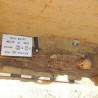 У Египту пронађена гробница са више од милион мумија