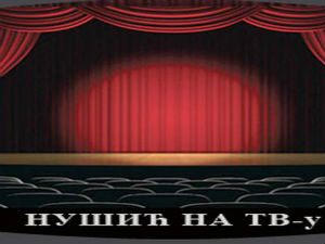 Нушић на ТВ: Госпођа министарка