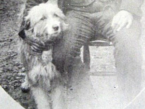 Да ли је ово права Леси?