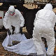 Ебола однела скоро 8.000 живота