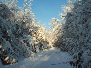 Македонија, десетине насеља без струје