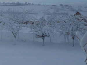 Трећи случај смрзавања у БиХ