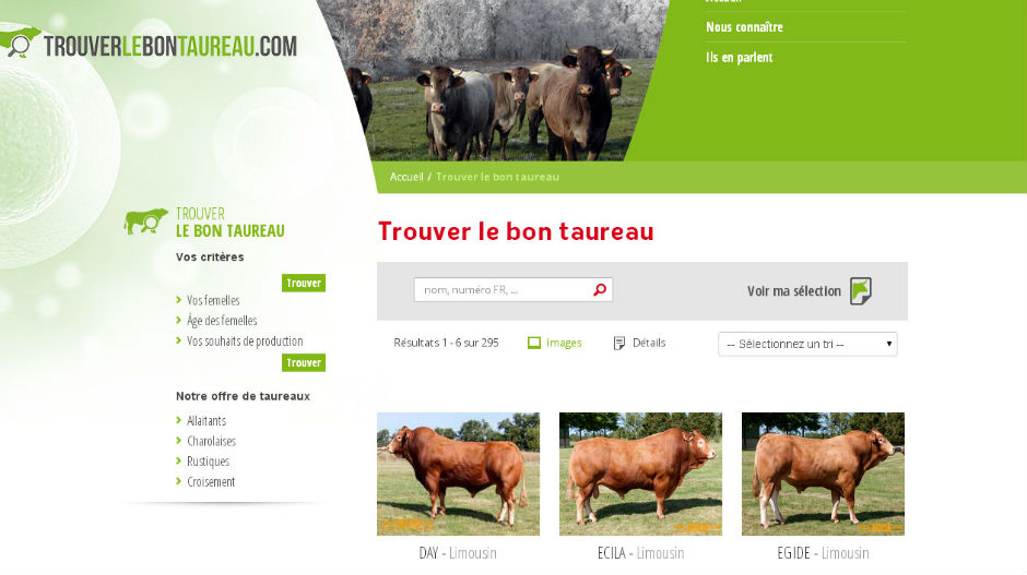 Секси сајт за „упознавање“ крава и бикова