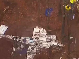 Сналажљива девојчица преживела авионску несрећу