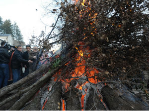На Цетињу бадњаци на два места