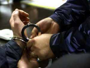 Хапшења због дроге и крађе у Зрењанину